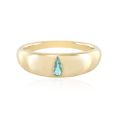 Gouden ring met een Braziliaanse Paraiba toermalijn (AMAYANI)