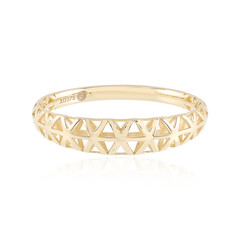 Gouden ring (Ornaments by de Melo)