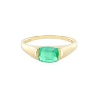Gouden ring met een Russische smaragd (AMAYANI)