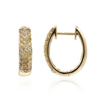 Gouden oorbellen met SI2 Fancy Diamanten (CIRARI)