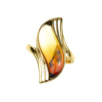 Zilveren ring met een Baltische barnsteen