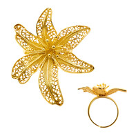 Zilveren ring (Joias do Paraíso)