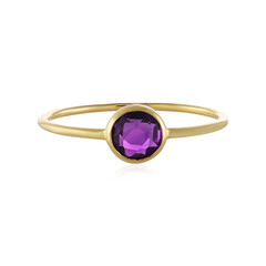 Gouden ring met een amethist