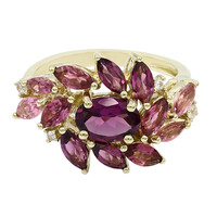 Gouden ring met een rhodliet