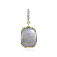 Gouden hanger met een Groene Minary Labradoriet