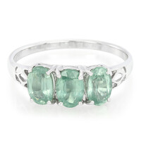 Zilveren ring met Munt Kyanieten