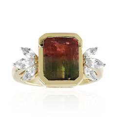 Gouden ring met een Californische meerkleurige toermalijn (Remy Rotenier)