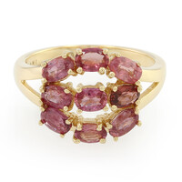 Gouden ring met Onverhitte Padparadscha Saffieren (AMAYANI)