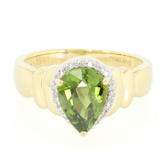 Gouden ring met een Paraiba toermalijn (AMAYANI)