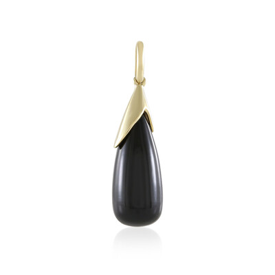 Gouden hanger met een zwarte onyx