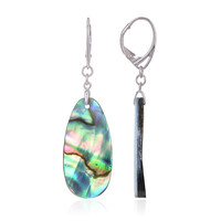 Zilveren oorbellen met Abalone schelpen