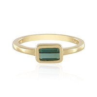 Zilveren ring met een groene Benedito toermalijn (Adela Silber)