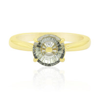 Gouden ring met een groene amethist (Glenn Lehrer)