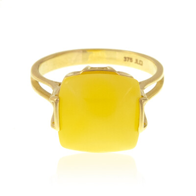 Gouden ring met een Baltische barnsteen (dagen)