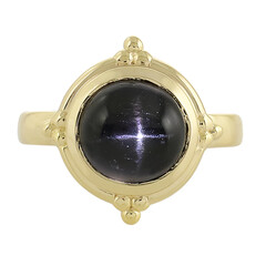 Zilveren ring met een Indische Ster Diopsied