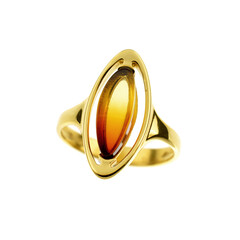 Zilveren ring met een Baltische barnsteen