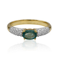 Gouden ring met een Grandidiriet (AMAYANI)