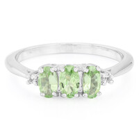 Zilveren ring met Merelani munt granaten