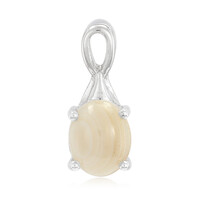Zilveren hanger met een Botswana agaat