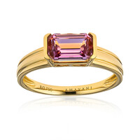 Gouden ring met een Roze diaspoor (AMAYANI)