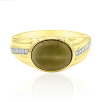 Gouden ring met een Kattenoog Apatiet (Tenner Diniz)