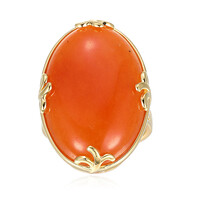 Zilveren ring met een Rode Aventurijn