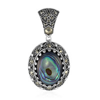 Zilveren hanger met een Abalone schelp (Annette classic)