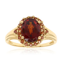 Gouden ring met een hessoniet granaat