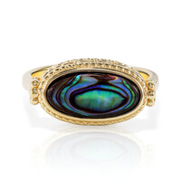 Zilveren ring met een Abalone schelp