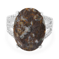 Zilveren ring met een dinosaurus kwarts