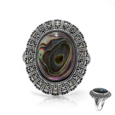 Zilveren ring met een Abalone schelp