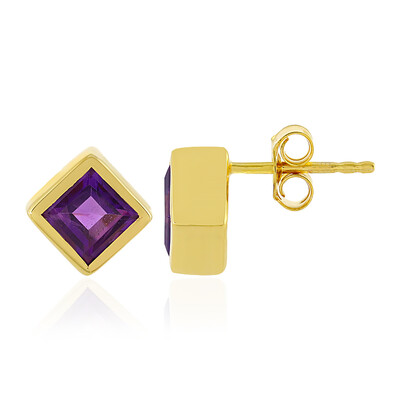 Zilveren oorbellen met amethisten (MONOSONO COLLECTION)