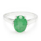 Zilveren ring met een Bahia-smaragd