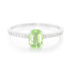 Zilveren ring met een Munt Kyaniet
