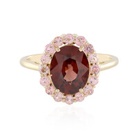 Gouden ring met een Mahagoni Zirkoon