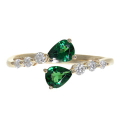Gouden ring met AAA Keniaanse tsavoriet (CIRARI)