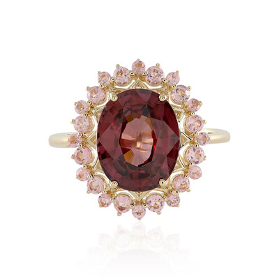 Gouden ring met een Mahagoni Zirkoon