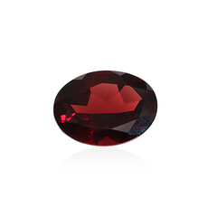 Edelsteen met een Mozambique granaat 14,393 ct