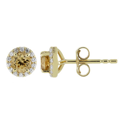 Gouden oorbellen met Vibhor Zirkonen