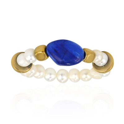 Ring met een kyaniet (TPC)