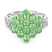 Zilveren ring met Munt Kyanieten