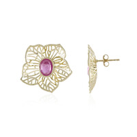 Gouden oorbellen met Madagaskar Roze Saffieren (Ornaments by de Melo)