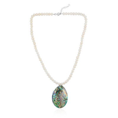 Zilveren halsketting met een Abalone schelp (TPC)