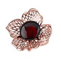 Zilveren ring met een kersrode Baltische barnsteen