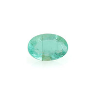Edelsteen met een Russische smaragd 0,495 ct