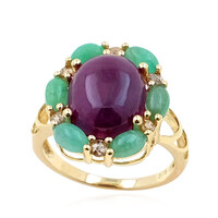 Gouden ring met een robijn