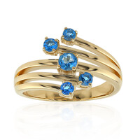 Gouden ring met een Haüyn