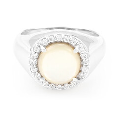 Zilveren ring met een Abalone schelp
