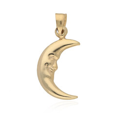 Gouden hanger