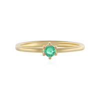 Zilveren ring met een Columbiaanse smaragd